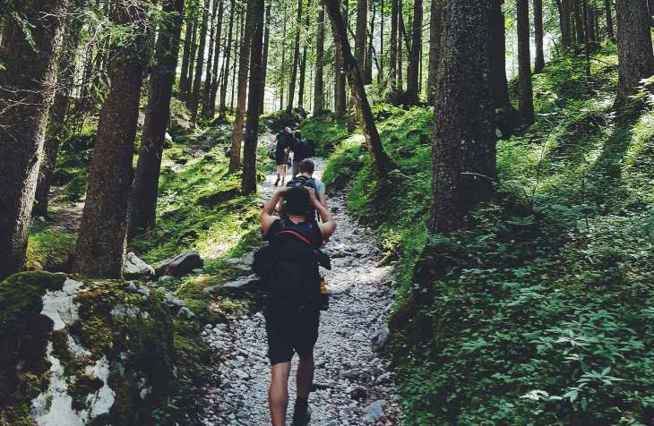 Grupa ljudi šeta stazom kroz šumu