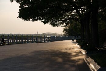 Široka šetališna staza pored vode sa praznim klupama ispod drveća