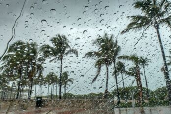 Pogled na palme kroz kišno staklo